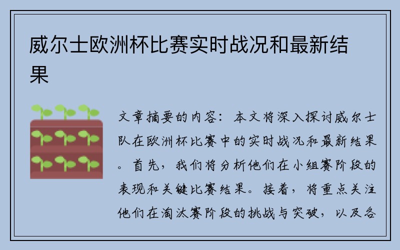威尔士欧洲杯比赛实时战况和最新结果